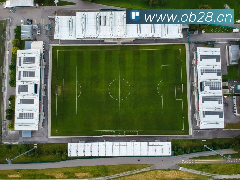 爱游戏ayx官网APP 封面图